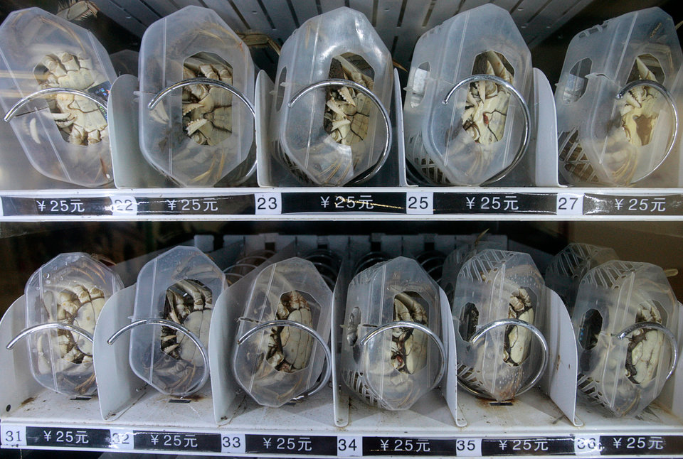 自動(dòng)售貨機,自動(dòng)售賣(mài)機,自動(dòng)售貨機價(jià)格,廣州售貨機,無(wú)人售貨機,智能自動(dòng)售貨機加盟,自動(dòng)販賣(mài)機,飲料自動(dòng)售貨機,廣州富宏智能售貨機